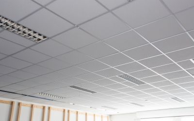 Pose de plafond suspendu Lyon Pose de 100 M2 de plafond suspendu